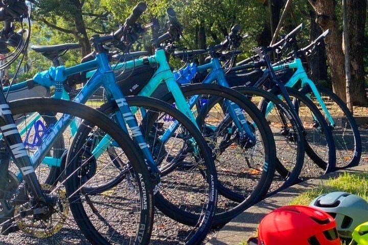 京都：3時間サイクリングまたはE-バイクツアーで名所と隠れた名所を巡る