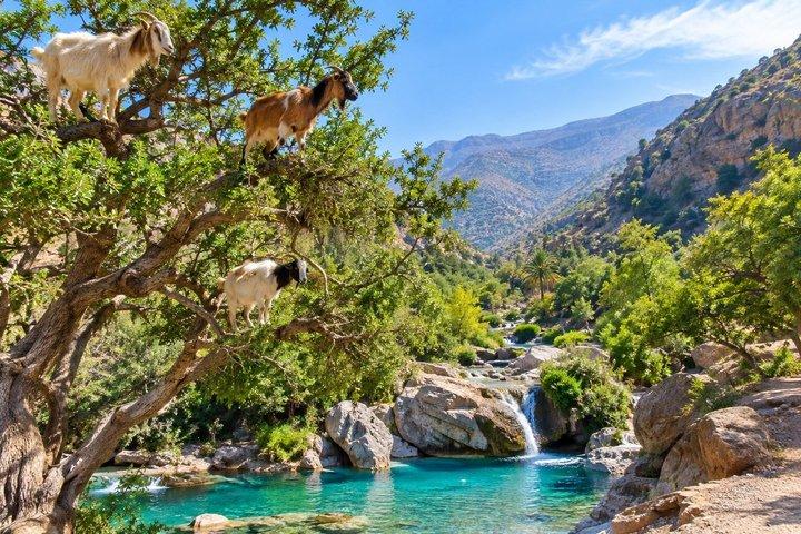 Paradise Valley swimming & Atlas Mountains Tour from Taghazout