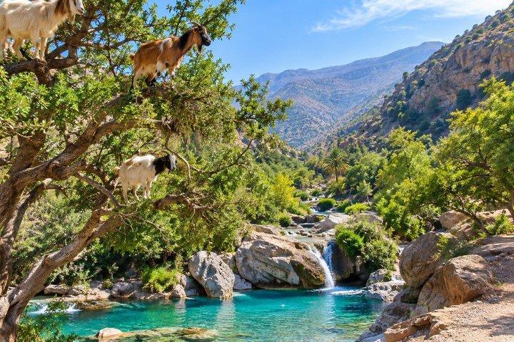 Paradise Valley swimming & Atlas Mountains Tour from Taghazout
