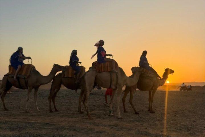 Marrakech: Quad and Camel Tour with Tea Break and Transfer