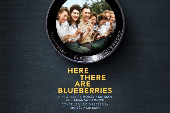 Here There Are Blueberries on Broadway Ticket