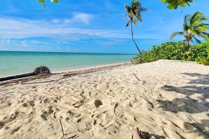 Holbox Full-Day Tour with Ferry, Punta Mosquito & Punta Coco