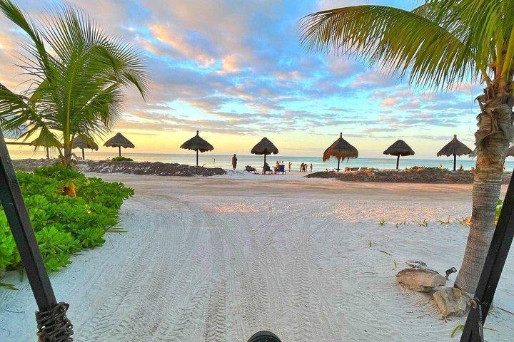 Holbox Full-Day Tour with Ferry, Punta Mosquito & Punta Coco