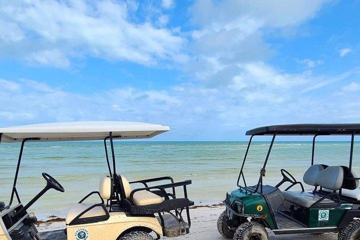 Holbox Full-Day Tour with Ferry, Punta Mosquito & Punta Coco