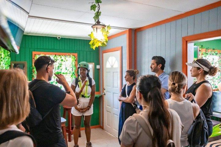 Saint Lucia, Anse La Raye, E-Bike, Waterfall Hike tour .