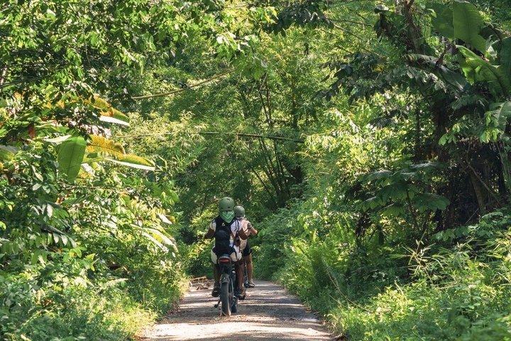 Saint Lucia, Anse La Raye, E-Bike, Waterfall Hike tour .