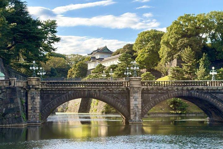 Privat specialtour i Tokyo med bil og vejleder