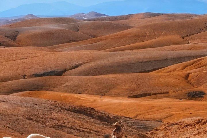 Desert ATVs Quad Experience & starlit dinner_ show under stars