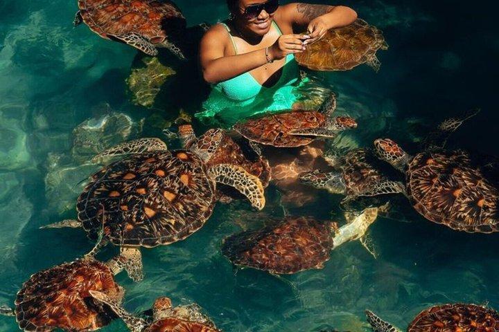 ジョザニ森林公園のウミガメとザ・ロックへのザンジバルプライベートツアー