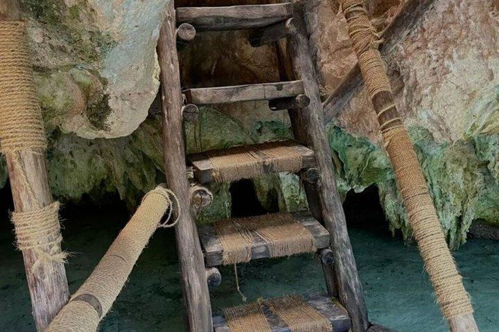 ジョザニ森林公園のウミガメとザ・ロックへのザンジバルプライベートツアー