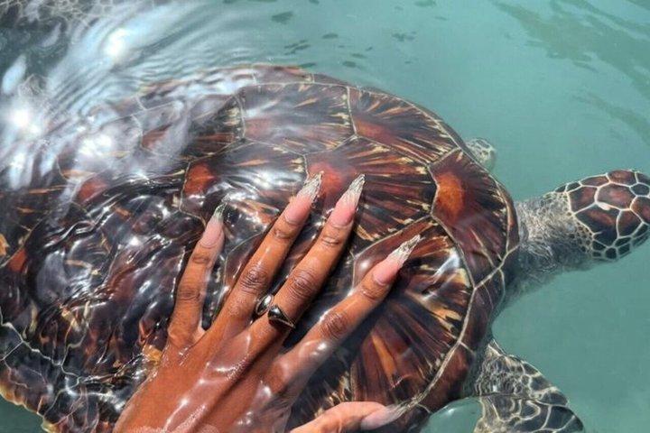ジョザニ森林公園のウミガメとザ・ロックへのザンジバルプライベートツアー