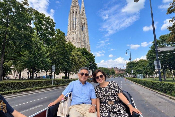 Tour della Chiesa di Vienna con Luxury E Old Timer