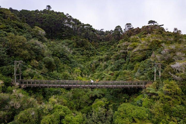 ゼアランディア・バイ・デイ：少人数制のネイティブフォレスト＆野生動物ツアー