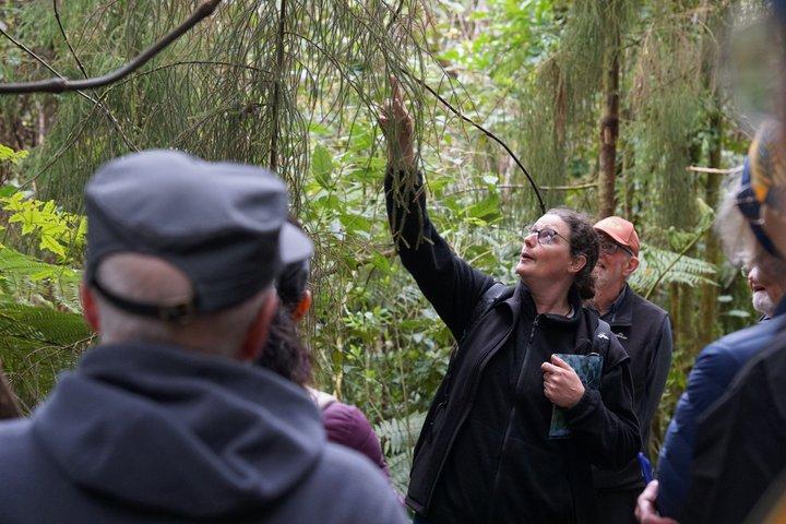 森林の秘密を巡る少人数ツアー：ゼアルディアの植物の物語