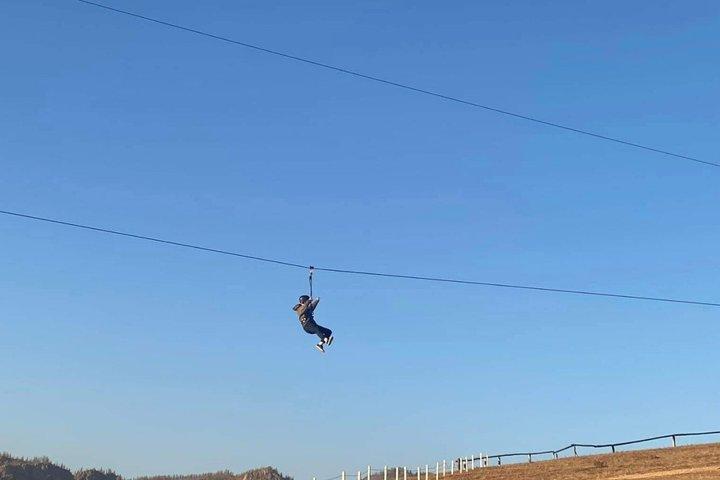 2 Day Terelj Tour with Horseback Riding, Stargazing and Ger Stay
