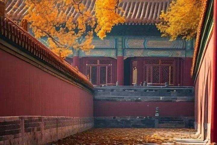 Beijing Forbidden City Guided Tour with Entry Ticket