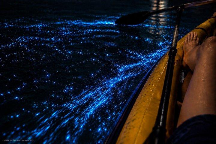 プーケットの生物発光プランクトンとジェームズボンド島