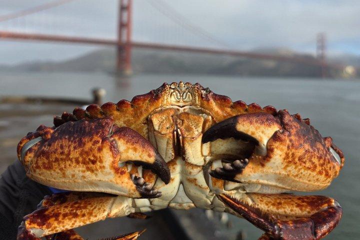 Catch Crab Under the Golden Gate Bridge