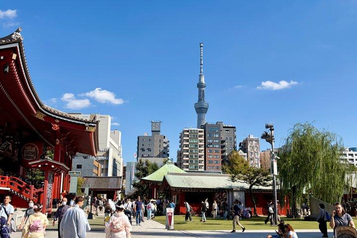 Tokyo Private Half-Day Highlights Tour by Car with Guide