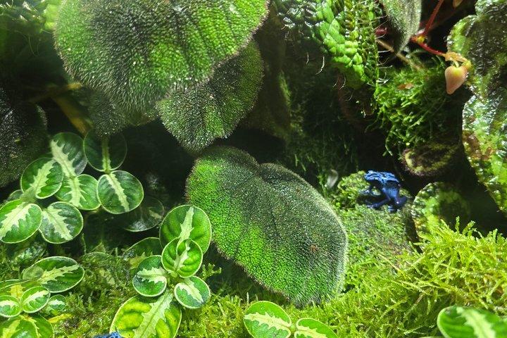 陸と海で巡るクイックシンガポール発見