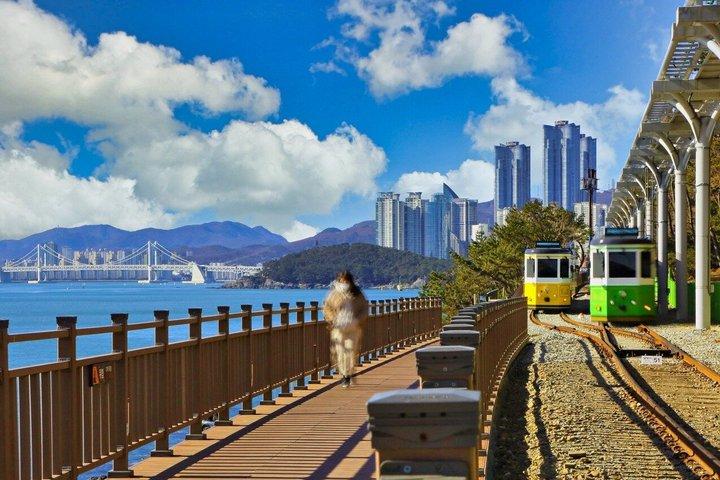 Haeundae Sky Capsule Train Ticket 2 Person Cabin