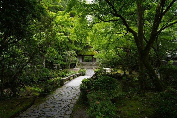 Visite privée personnalisée à Kyoto avec votre propre Guide