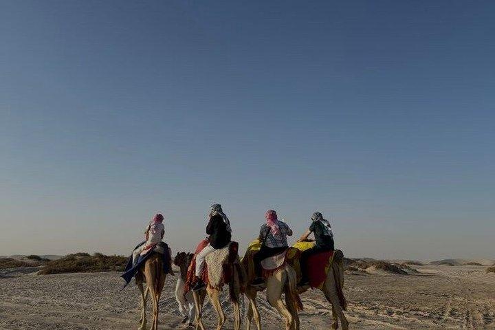 ラクダ乗り付きの終日砂漠サファリ、内海、バーベキュー デザート キャンプ