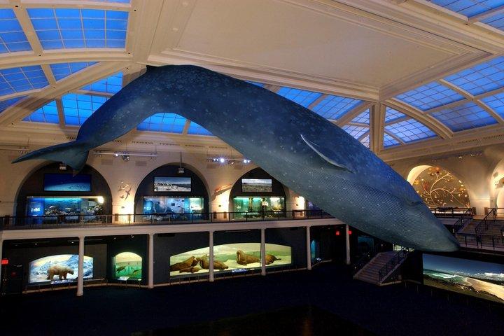 セントラルパークペディキャブツアー（自然史博物館アクセス付き）