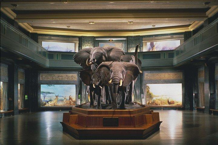 セントラルパークペディキャブツアー（自然史博物館アクセス付き）
