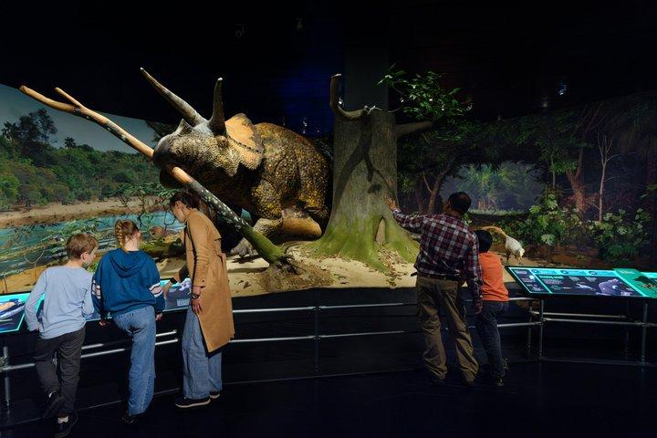 セントラルパークペディキャブツアー（自然史博物館アクセス付き）