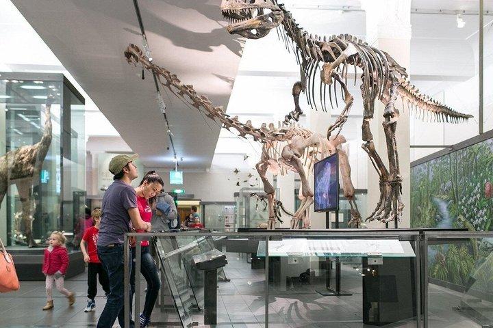 オークランド博物館 歴史 文化 自然遺産体験