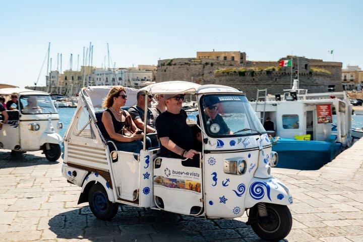 Otranto en Gallipoli vanuit Lecce: Salento-excursie