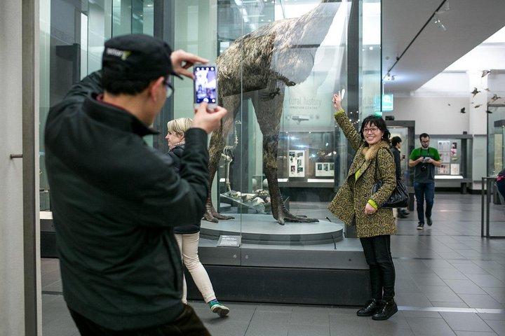 オークランド博物館 歴史 文化 自然遺産体験