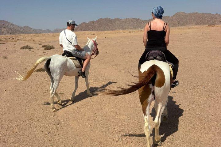 Desert Horse Riding