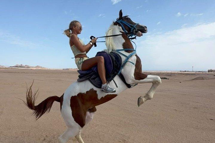 Desert Horse Riding