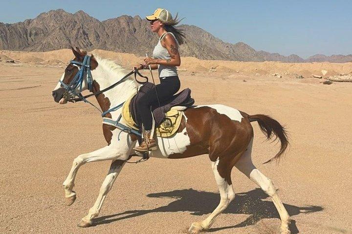 Desert Horse Riding