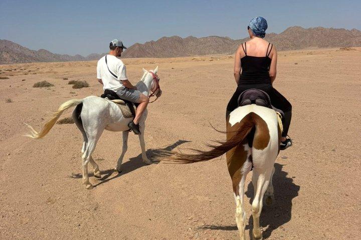 Desert Horse Riding