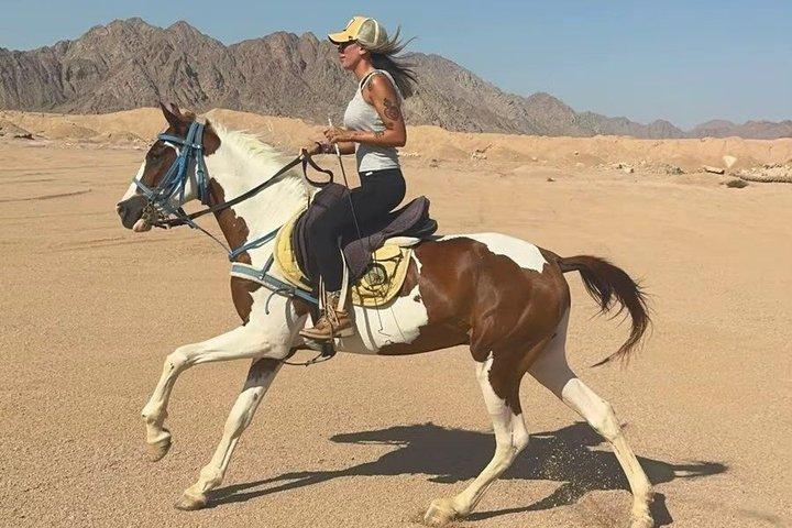 Desert Horse Riding