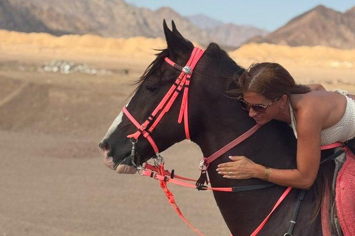 Desert Horse Riding