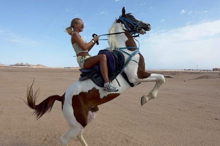 Desert Horse Riding