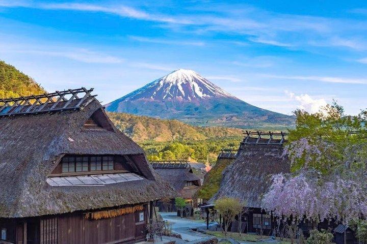 Mount Fuji Luxury Private English Guided Tour With Hotel Pickup