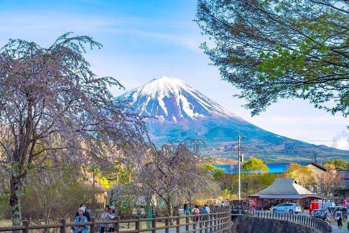 Mount Fuji Luxury Private English Guided Tour With Hotel Pickup