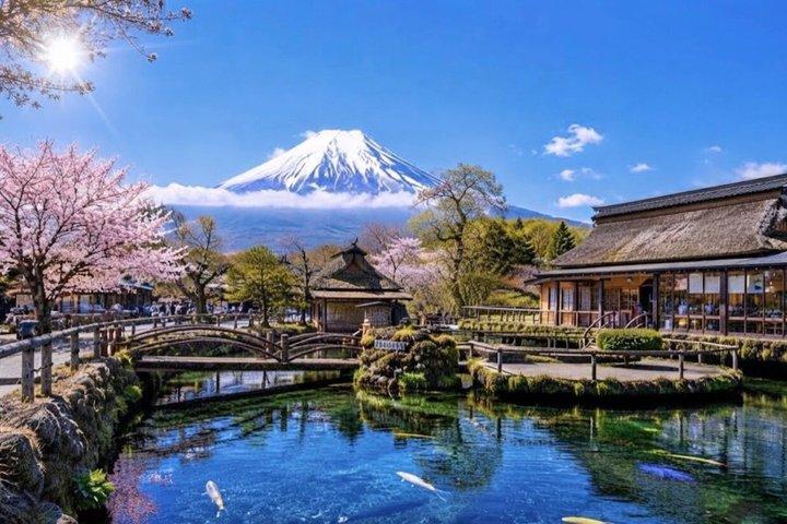 Mount Fuji Luxury Private English Guided Tour With Hotel Pickup