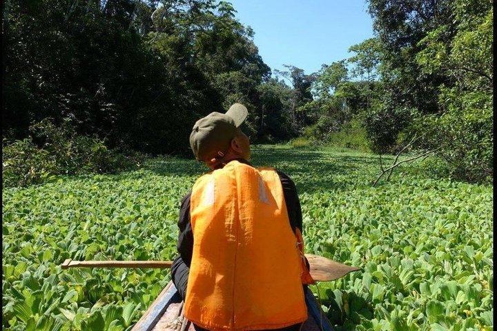 Excursions in wildlife Amazon 2/ days 1/ night