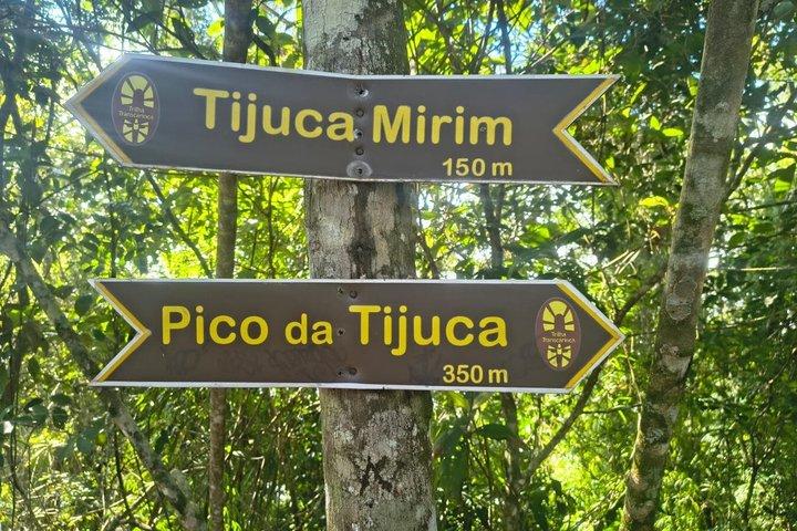 ピコ・ダ・チジュカと滝での冒険。リオの自然と景色。