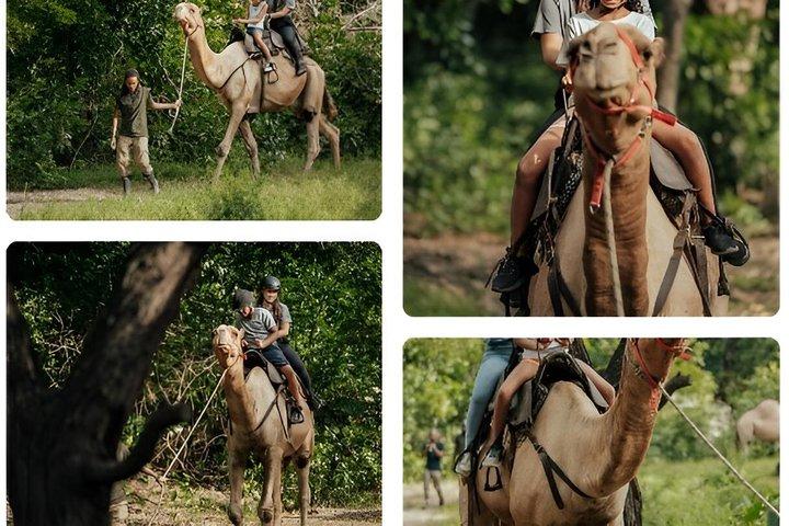 ケースラ ワールド オブ アドベンチャーズ、モーリシャス西部
