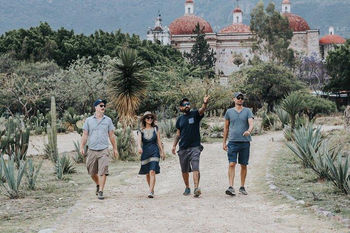 Mitla Express Guided Tour from Oaxaca