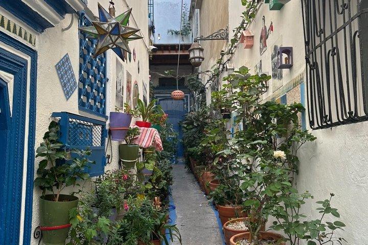 Tangier Private Half Day Tour with Camel Ride Experience
