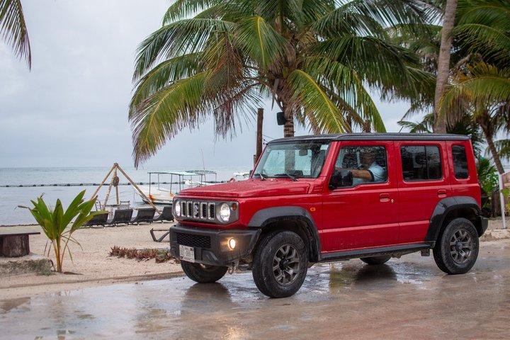 Costa Maya Snorkeling with Sea Turtles and 4x4 Excursion