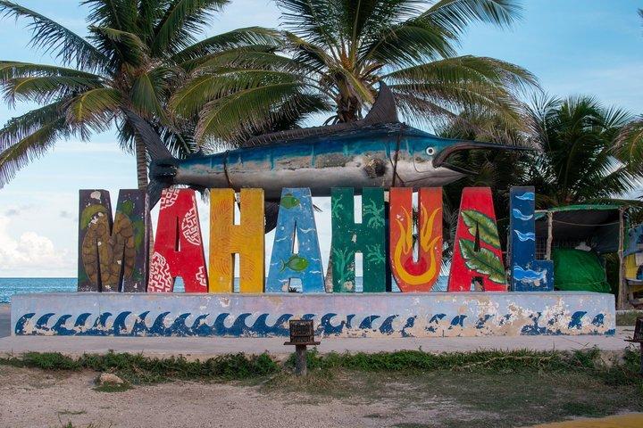 Costa Maya Snorkeling with Sea Turtles and 4x4 Excursion